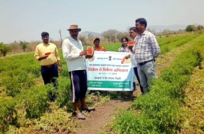  मावळ तालुक्यात  ‘विकेल ते पिकेल’ अभियान फायदेशीर!