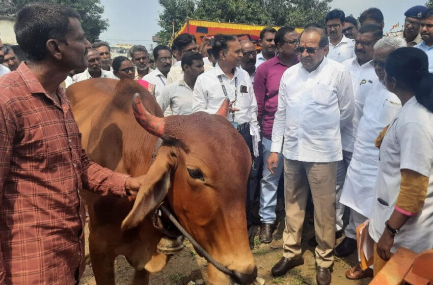  जनावरांचे लसीकरण युद्ध पातळीवर राबविण्याचे पशुसंवर्धन मंत्री राधाकृष्ण विखे पाटील यांचे निर्देश