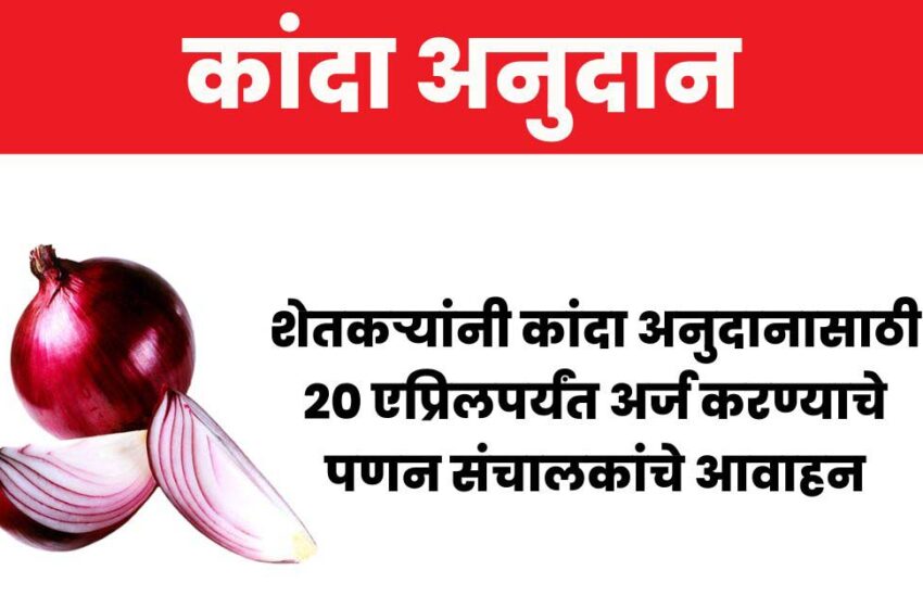  शेतकऱ्यांनी कांदा अनुदानासाठी २० एप्रिलपर्यंत अर्ज करावे; पणन संचालकांचे आवाहन