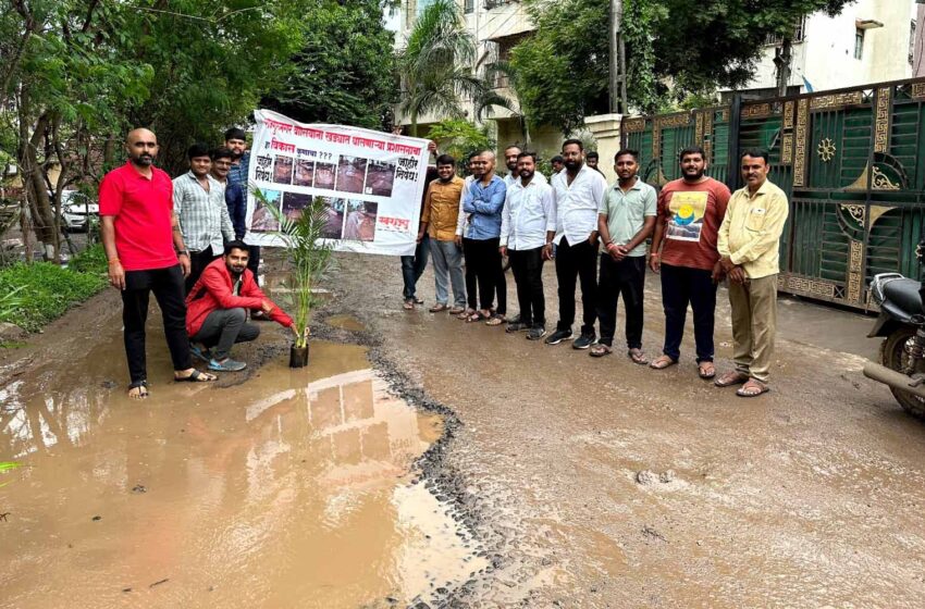  “झाडे लावा खड्डे जगवा”; राजगुरुनगरमध्ये छत्रपती संभाजीराजे  स्वराज्य संघटनेचं अनोखं आंदोलनशहरातील रस्त्यांवरील खड्यांच्या मुद्यावर संघटना आक्रमक